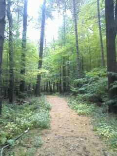 a path.... a path....