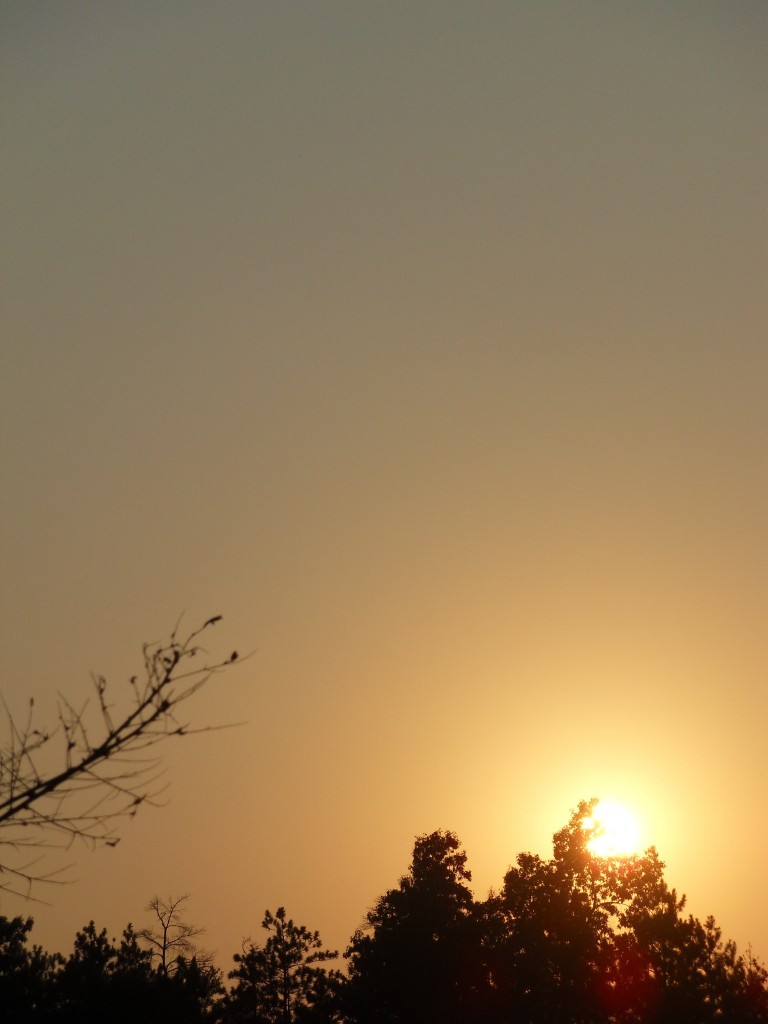 fall sunset