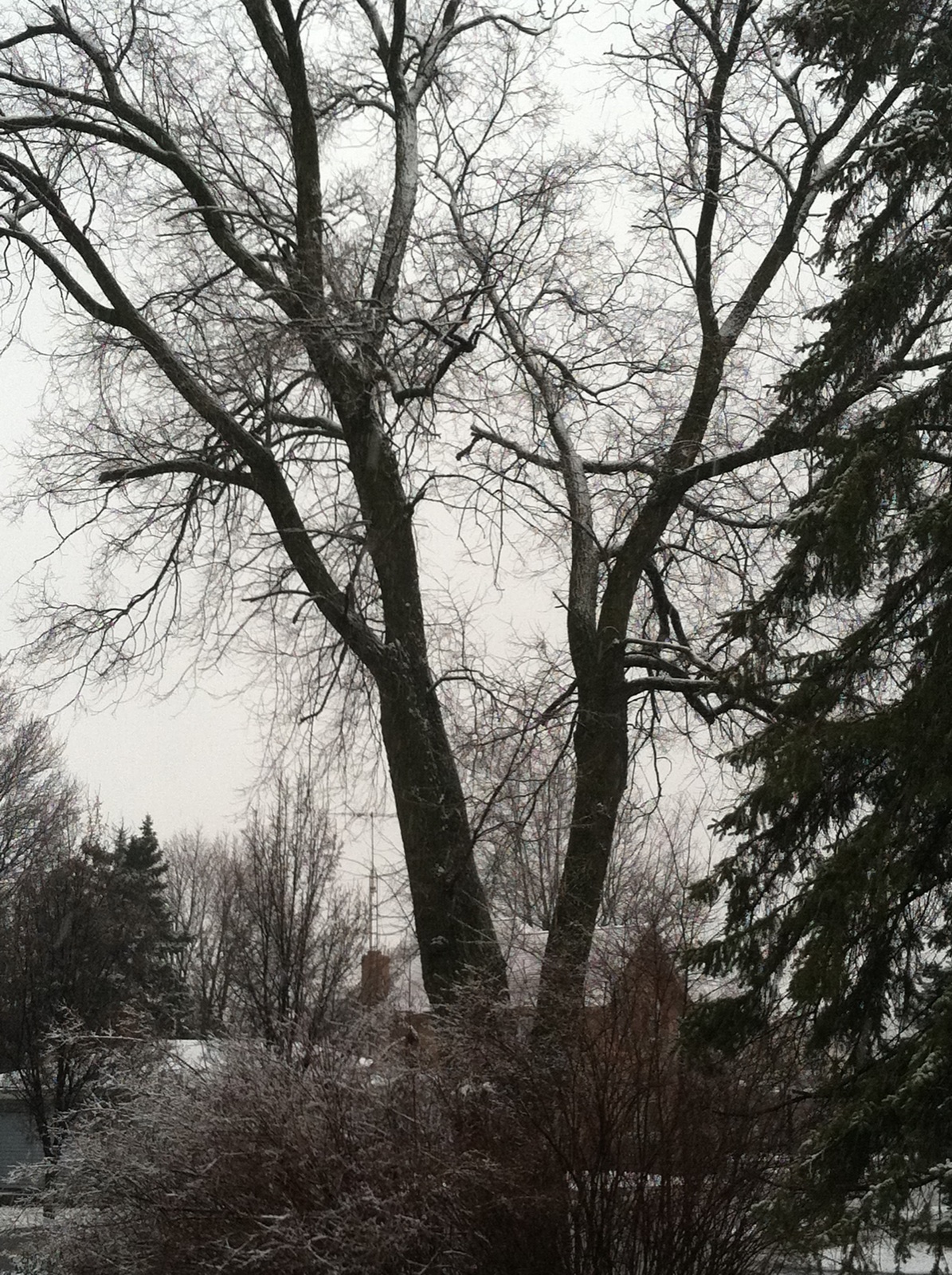 winter